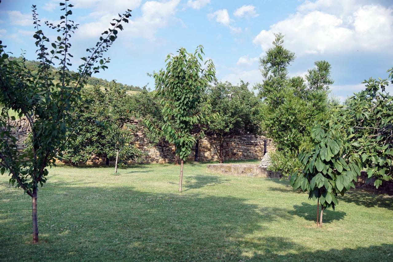 Tourist Farm With Apartments Fig Tree Dekani Zewnętrze zdjęcie