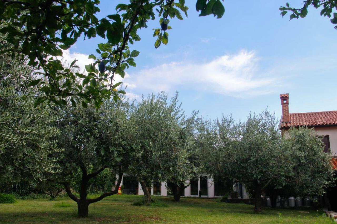 Tourist Farm With Apartments Fig Tree Dekani Zewnętrze zdjęcie